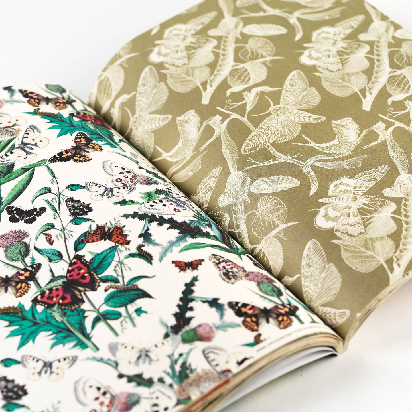 Butterflies Gift & Creative Paper Book Vol. 109