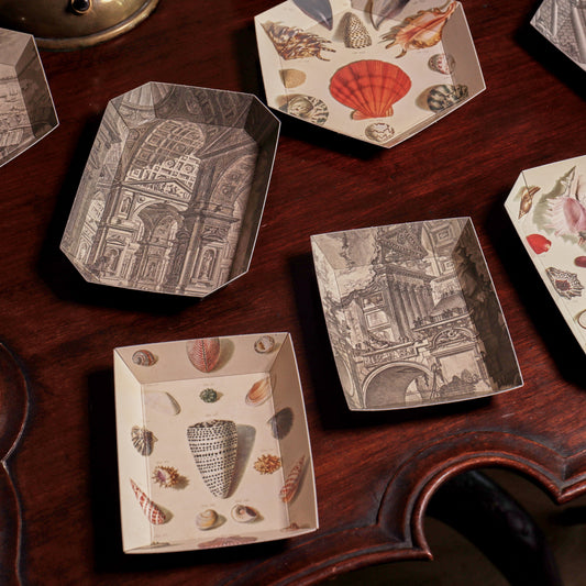 New Portable Paper Tray Packs Now In Stock