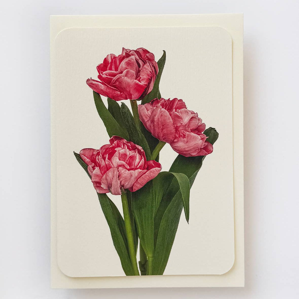 Pink Tulips Greeting Card