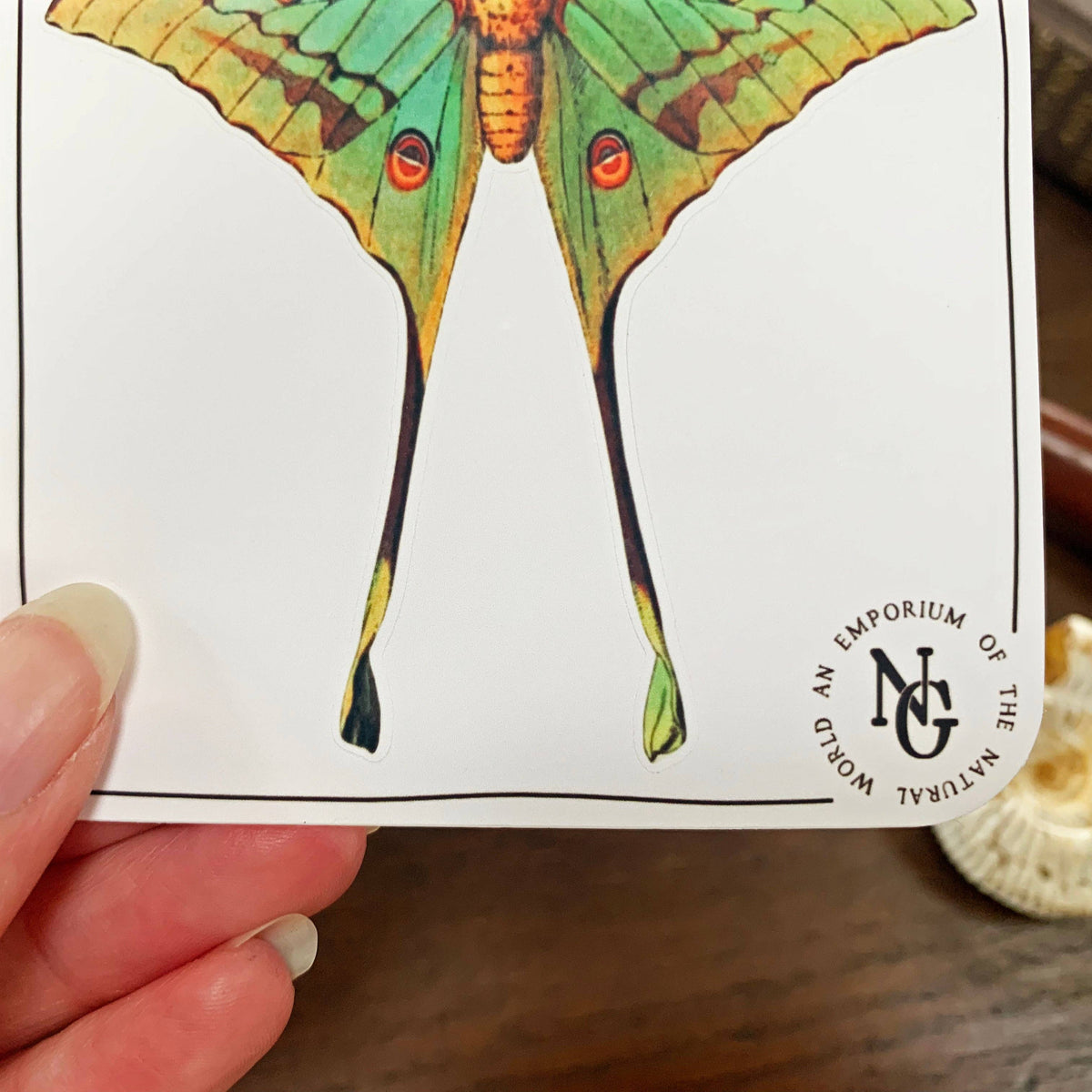 Luna Moth Sticker