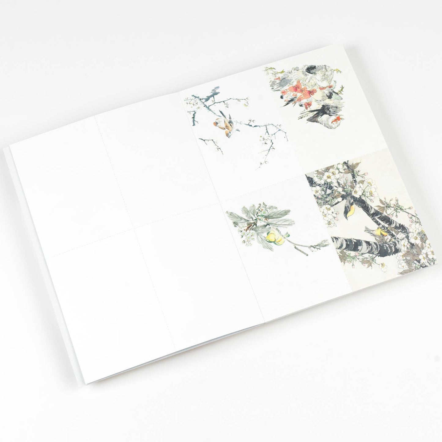 Japan Creative Paper Book