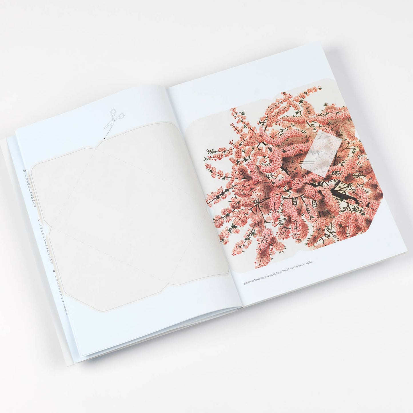 Natural History Creative Paper Book