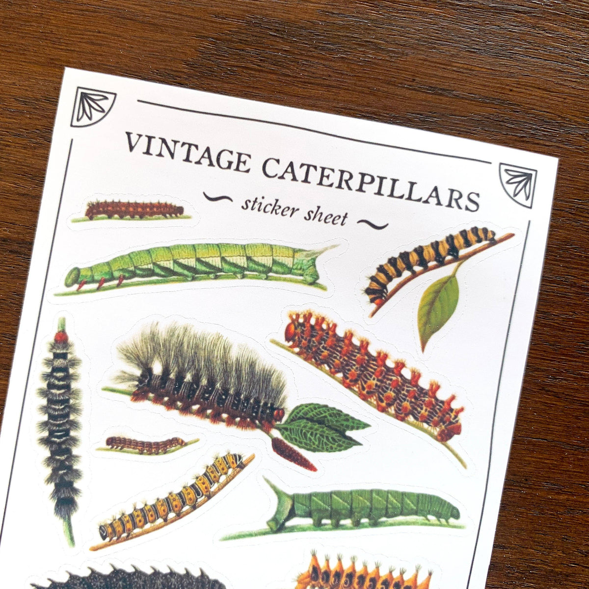 Vintage Caterpillars Sticker Sheet