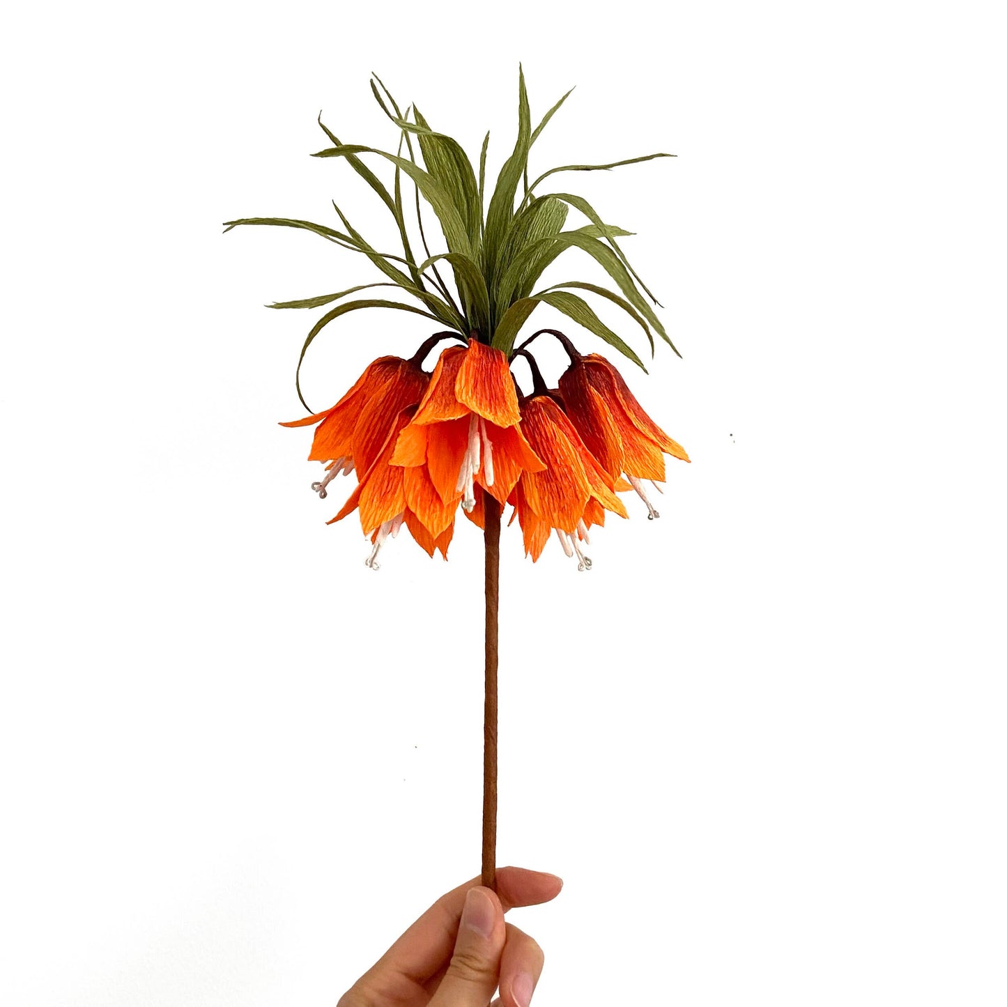 Make Your Own Crepe Paper Imperial Crown Flower Stem