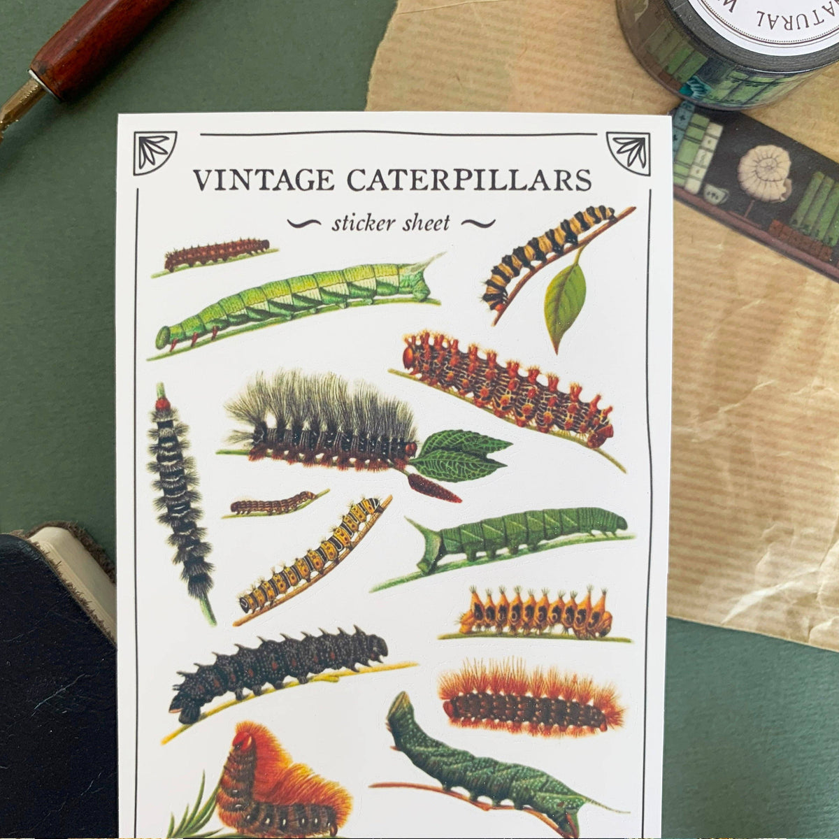 Vintage Caterpillars Sticker Sheet