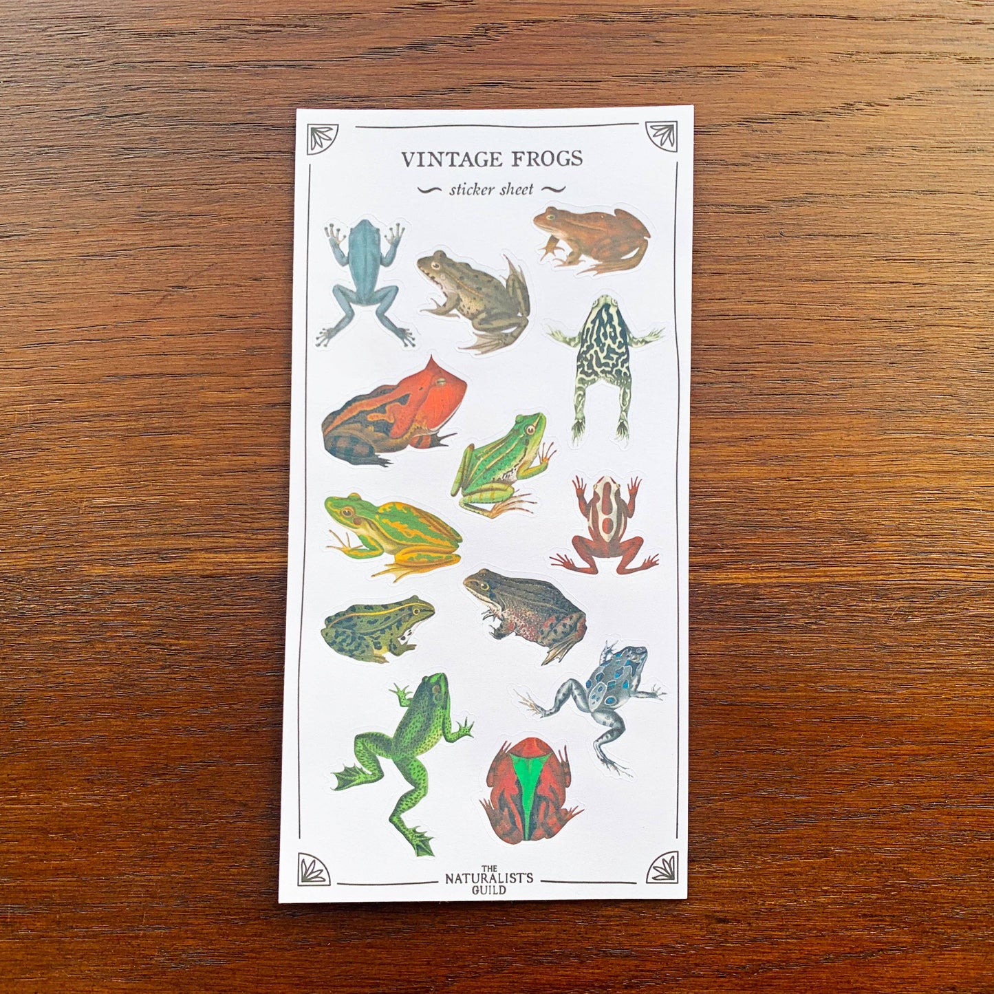 Vintage Frogs Sticker Sheet