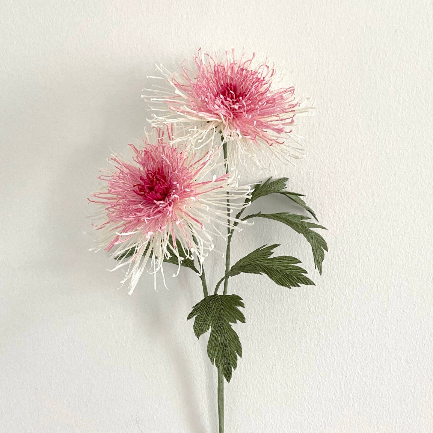 Make Your Own Crepe Paper Japanese Chrysanthemum