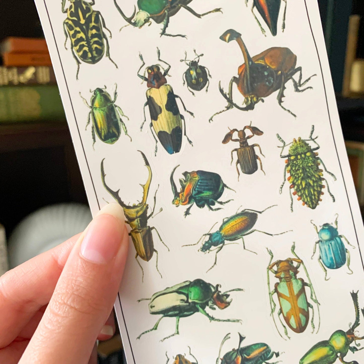 Vintage Beetles II Sticker Sheet