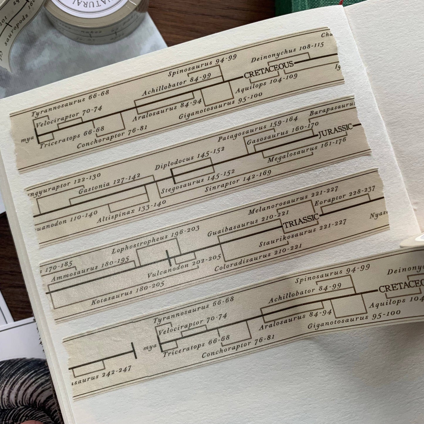 Dinosaur Timeline Washi Tape