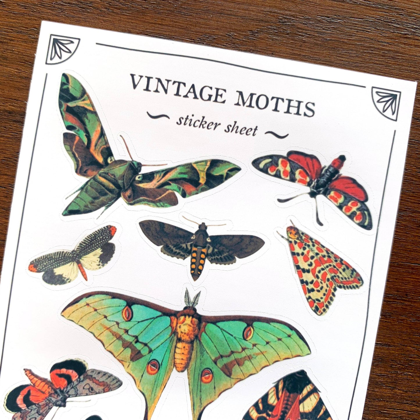 Vintage Moths Sticker Sheet
