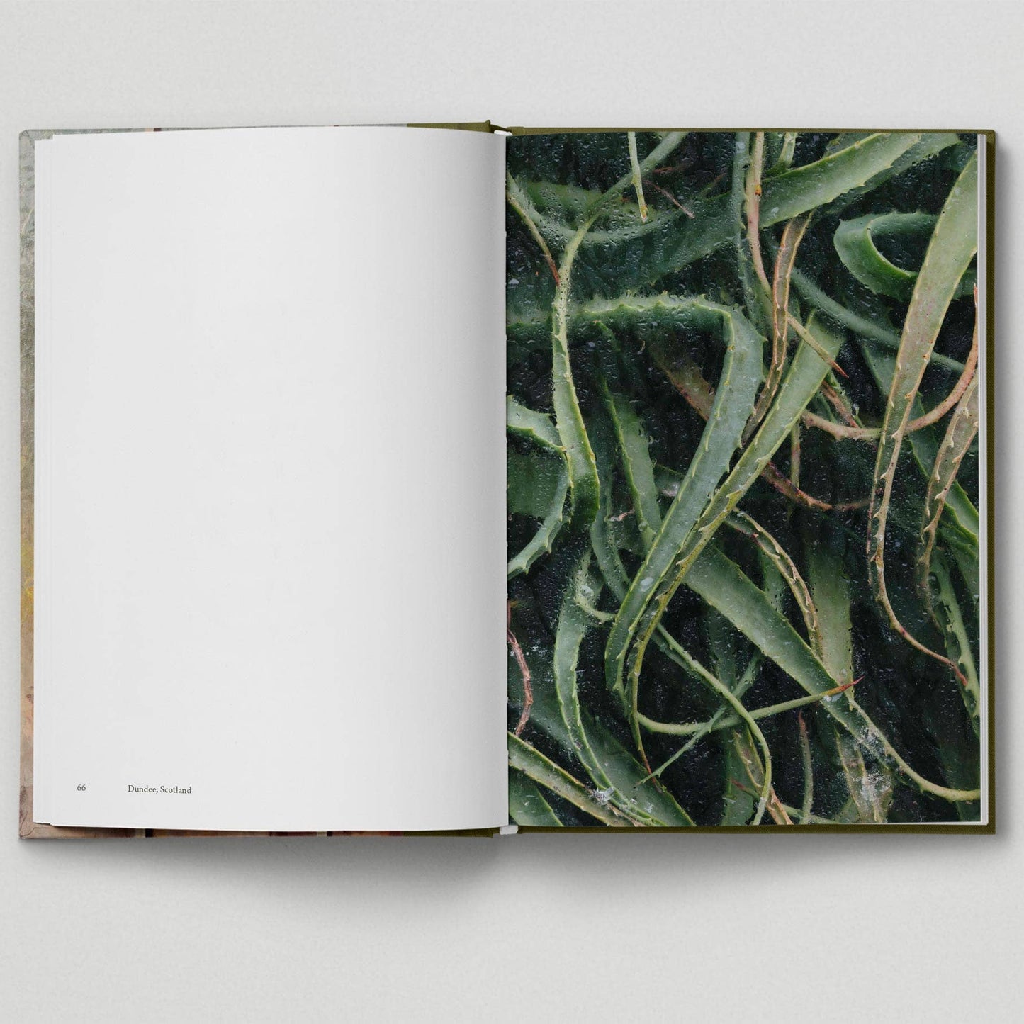 Botanical - Tales from the City