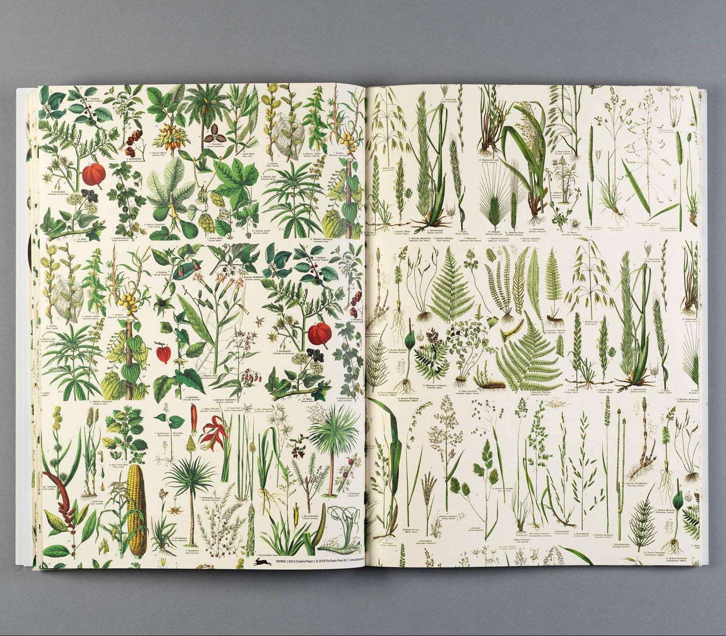 Flora Gift & Creative Paper Book Vol. 85
