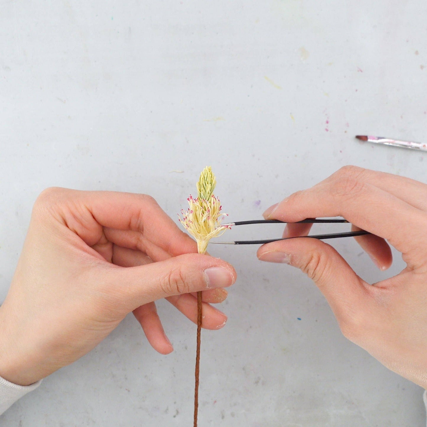 Make Your Own Crepe Paper Magnolia