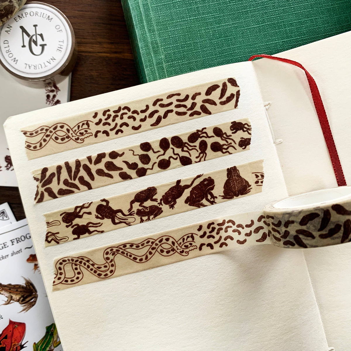 Toad Life Cycle Washi Tape