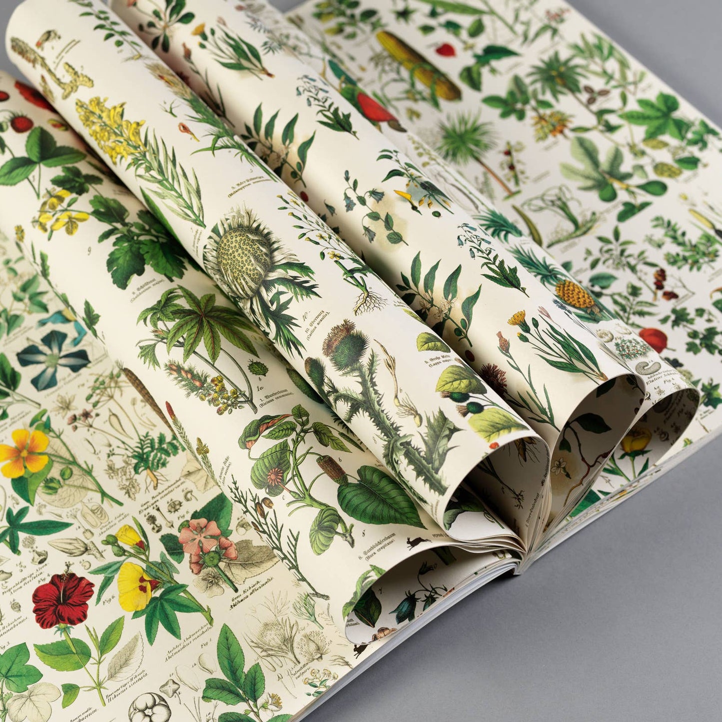 Flora Gift & Creative Paper Book Vol. 85