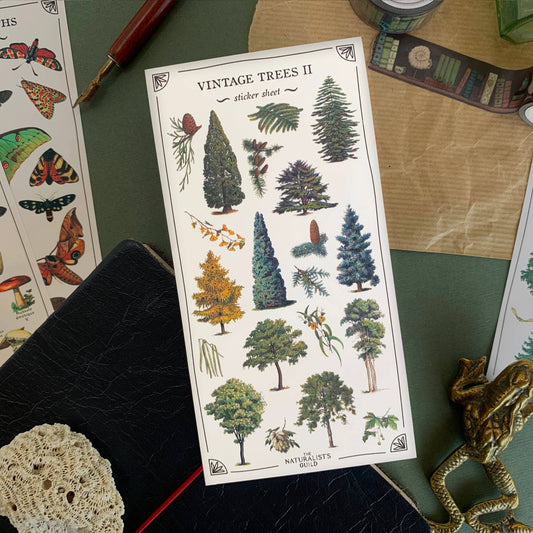 Vintage Trees II Sticker Sheet