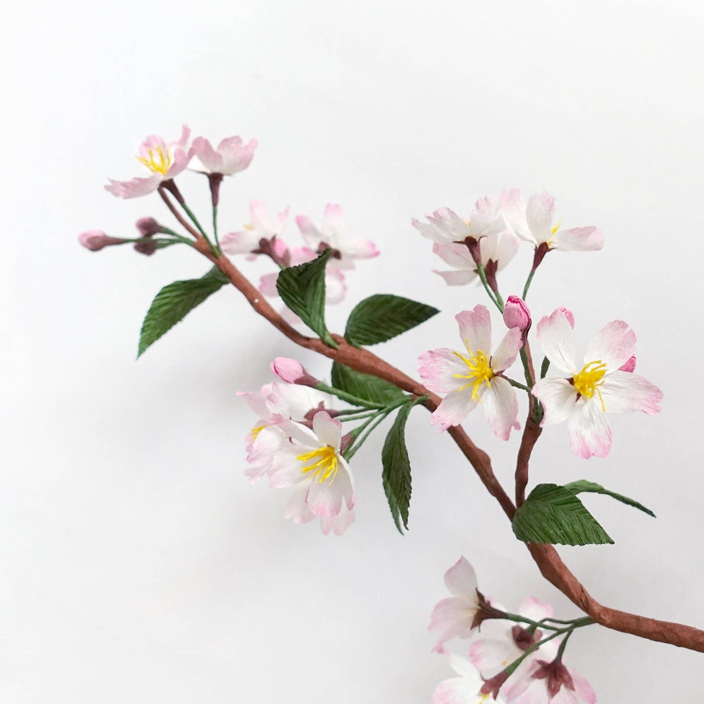 Make Your Own Crepe Paper Cherry Blossom