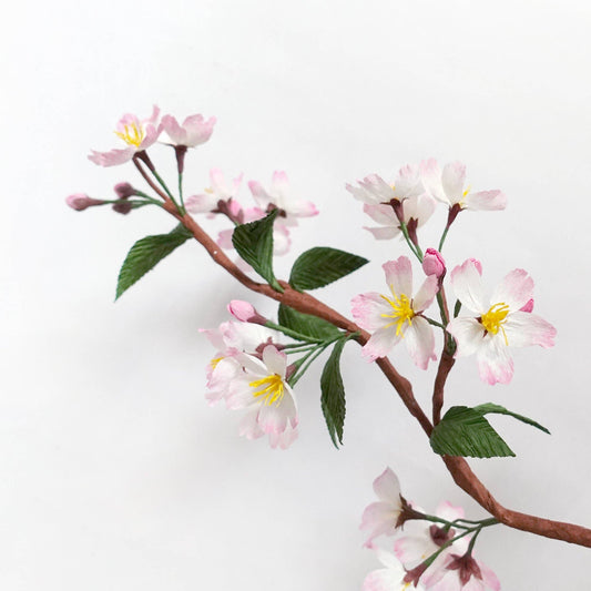 Make Your Own Crepe Paper Cherry Blossom