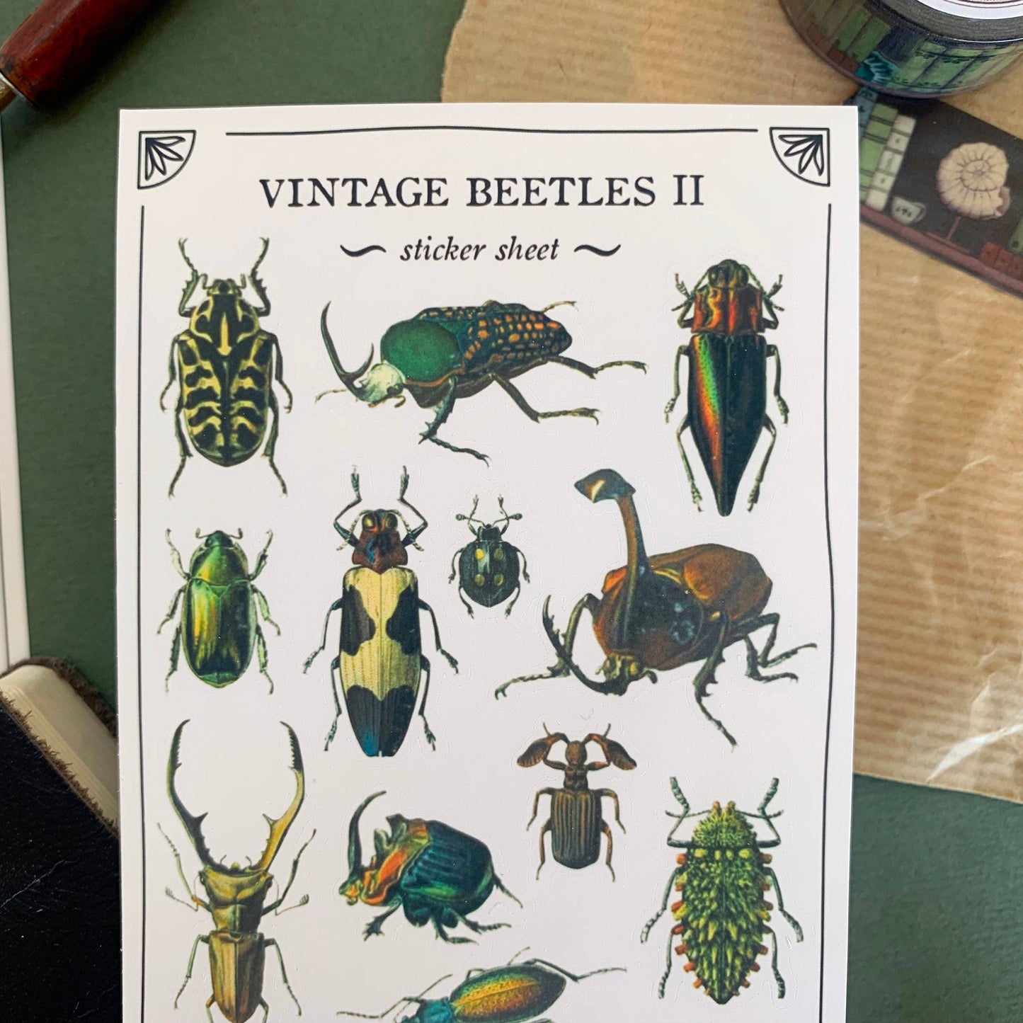 Vintage Beetles II Sticker Sheet