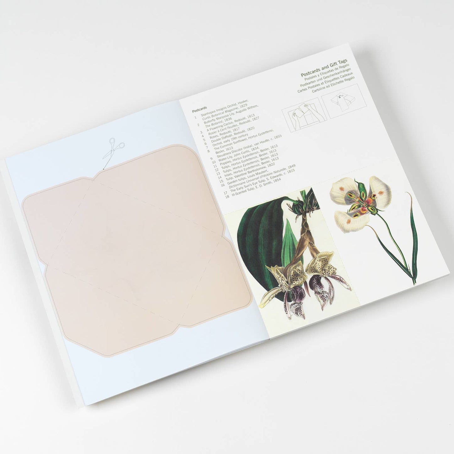 Flowers Creative Paper Book