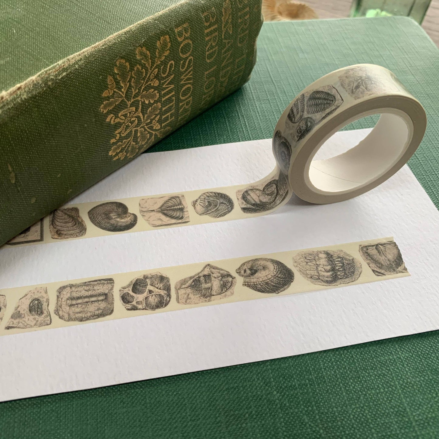 Fossil Washi Tape