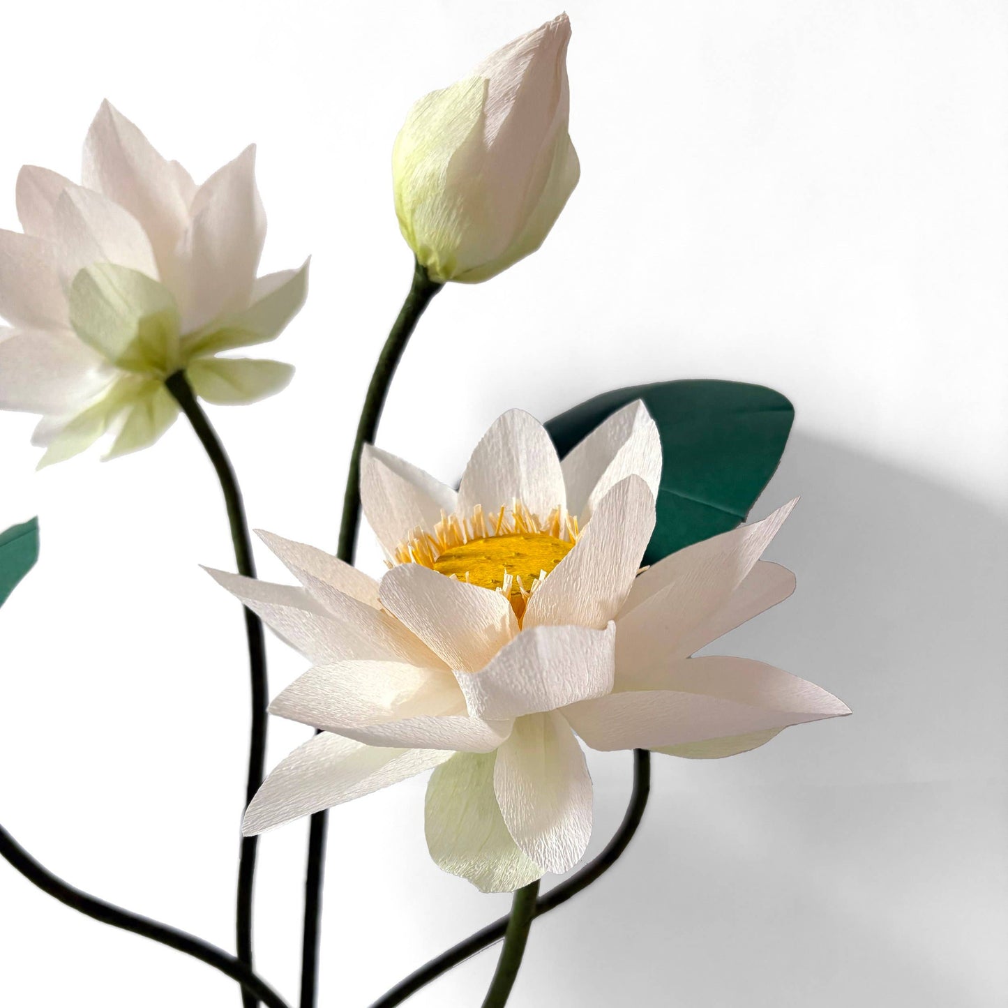 Make Your Own Crepe Paper White Sacred Lotus Flower