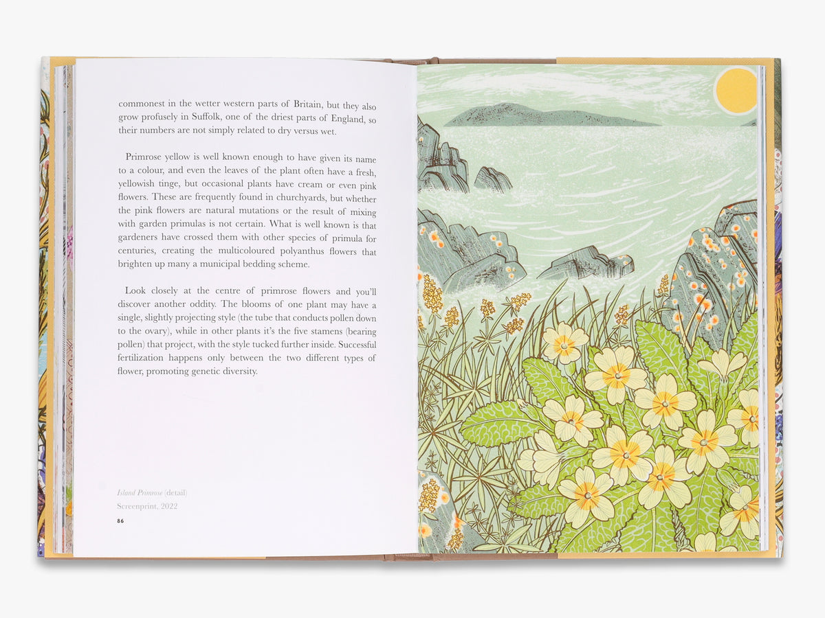 The Book Of Wildflowers