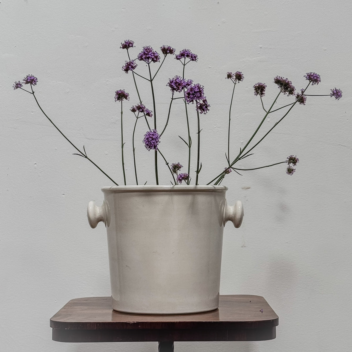 An Edwardian Ironstone Slop Bucket