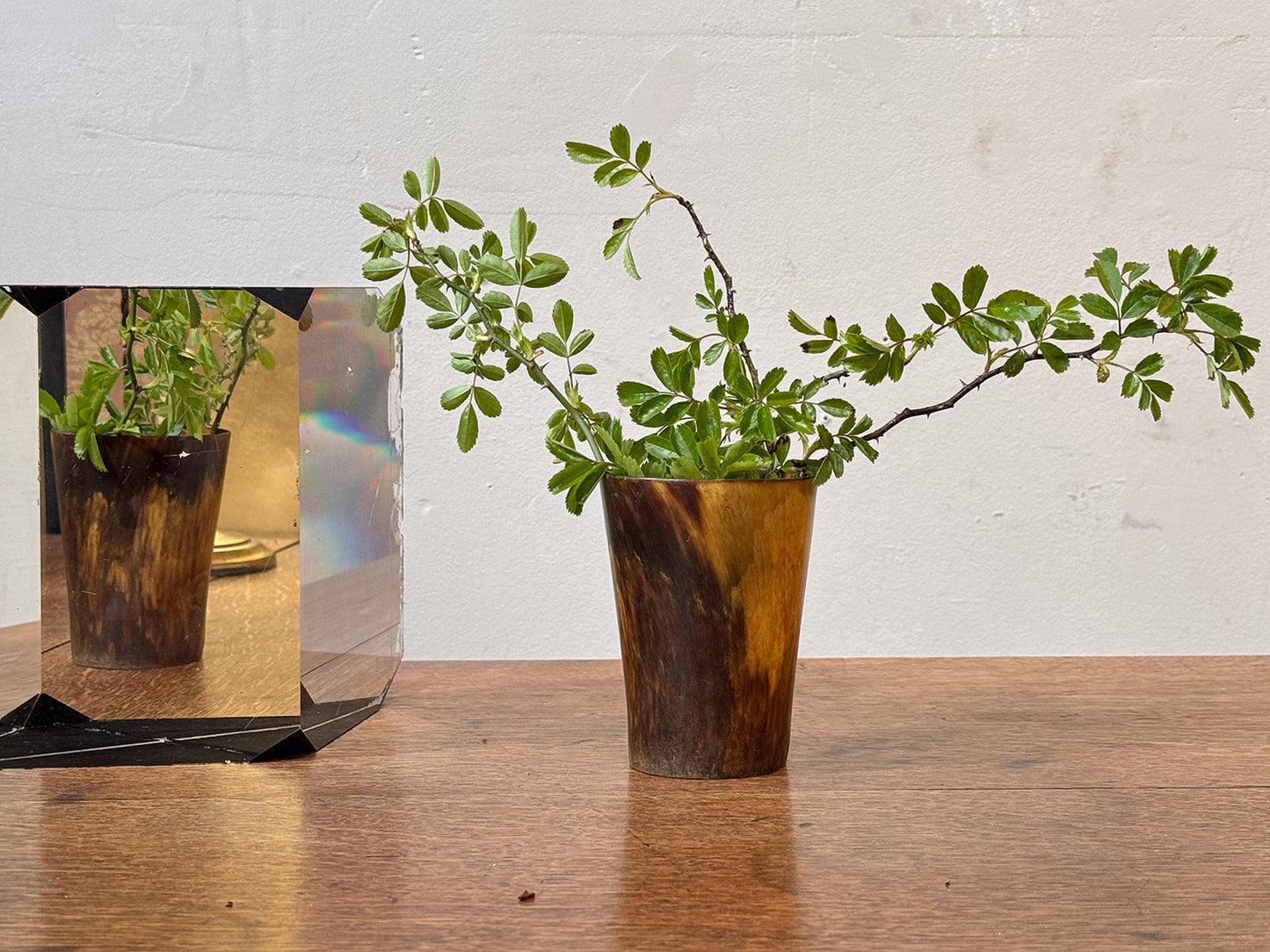 A Collection of 19th Century Horn Beakers