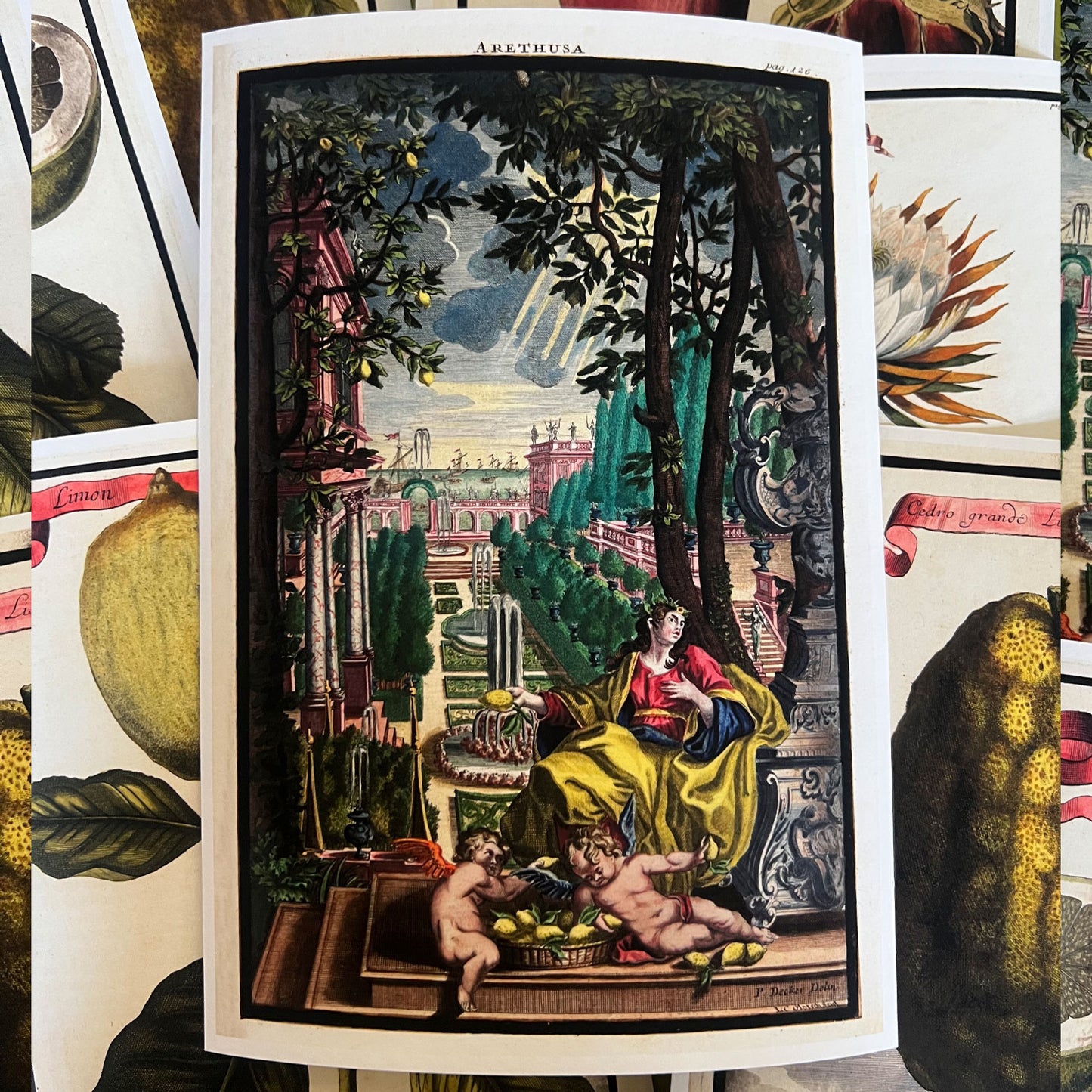 Arethusa Giclée Print