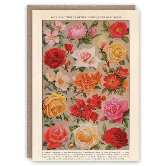 Roses - Greeting Card