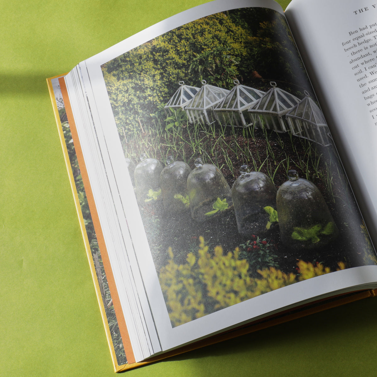 A Year at the Parsonage: The Story of a House & Garden