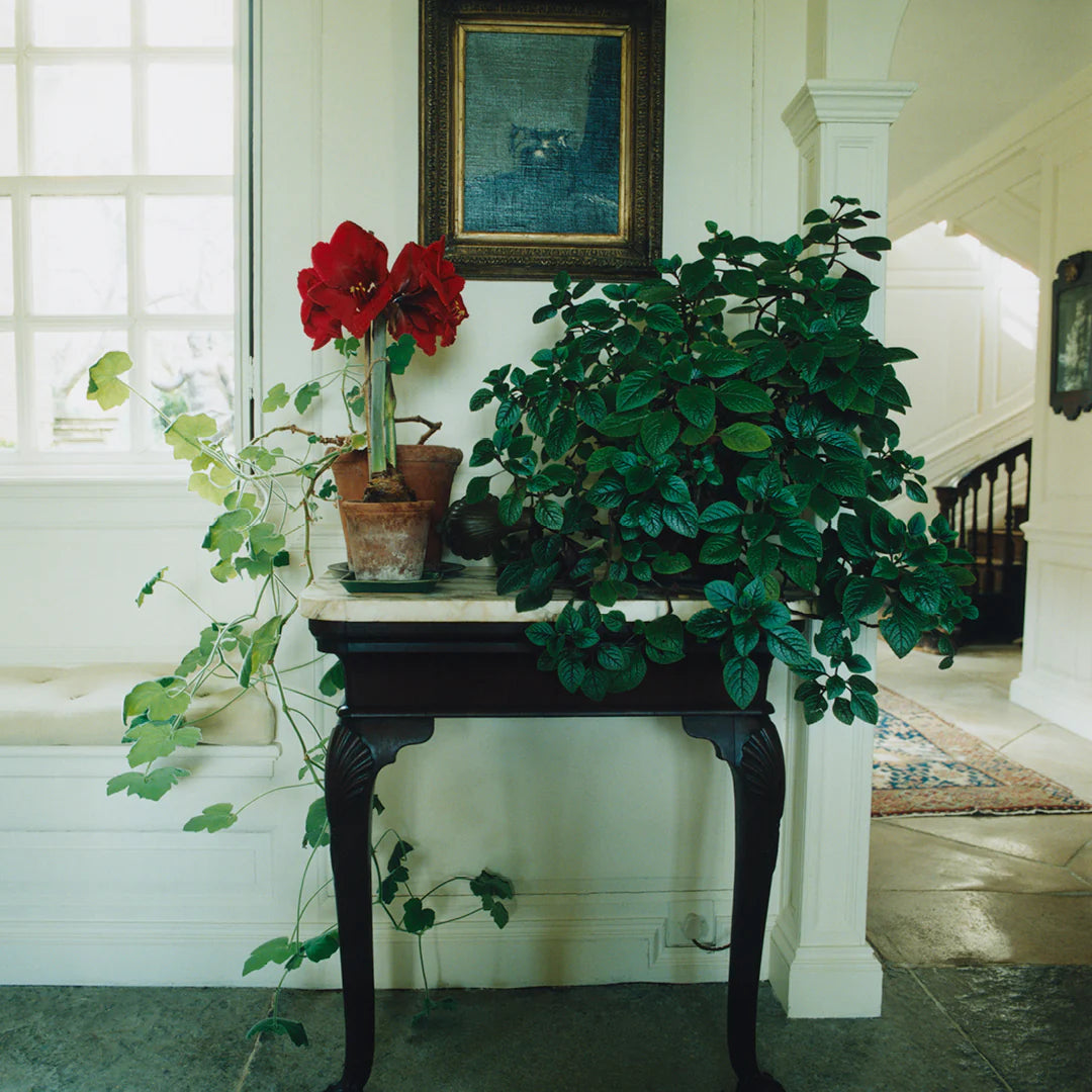 Scenery Magazine - Issue 5 - Westness House