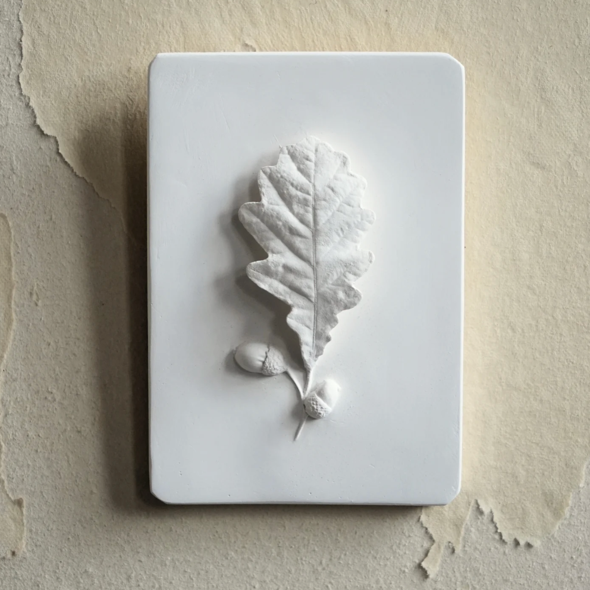 Oak Leaf Relief