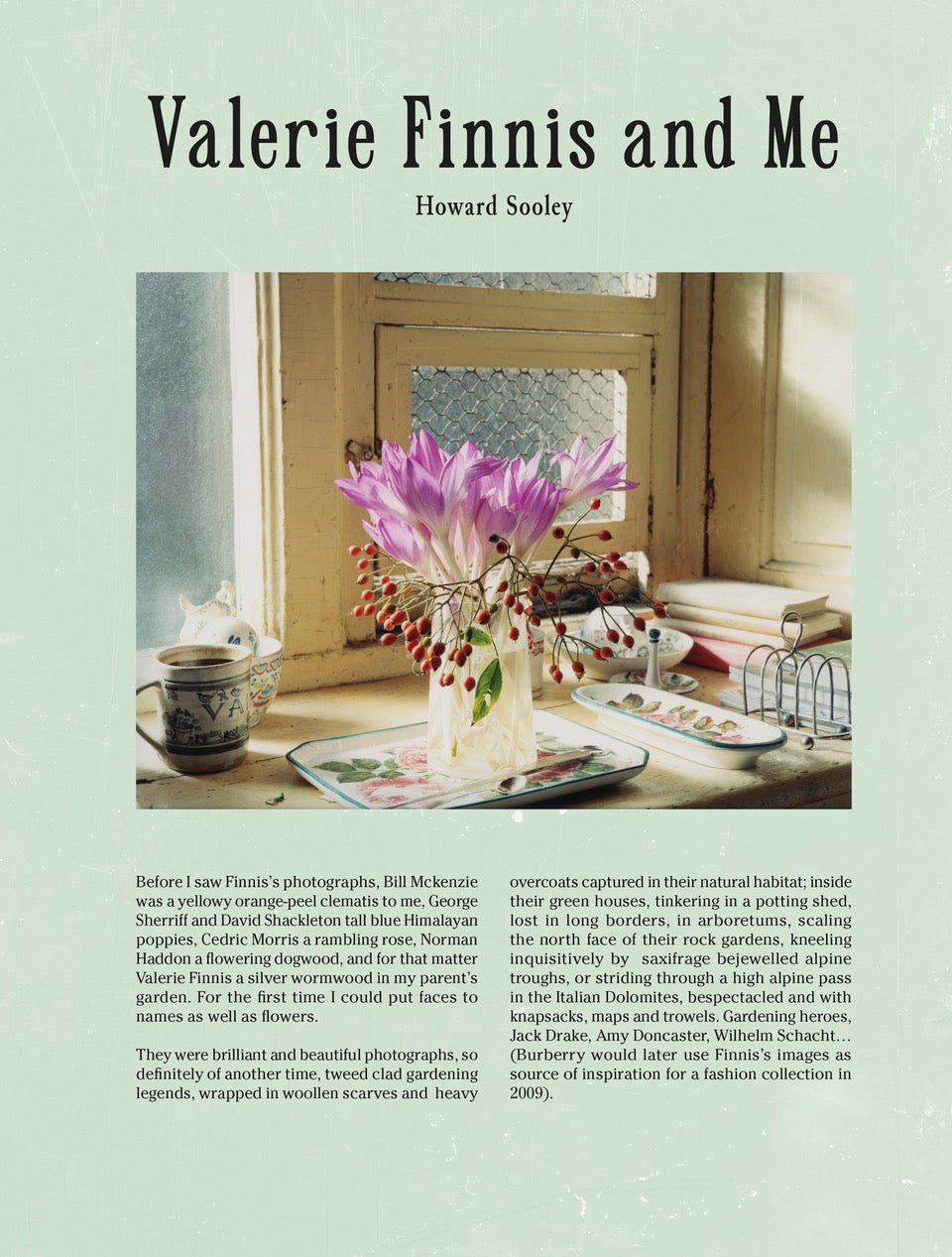 NEW: The Bible of British Taste: Issue no. 5