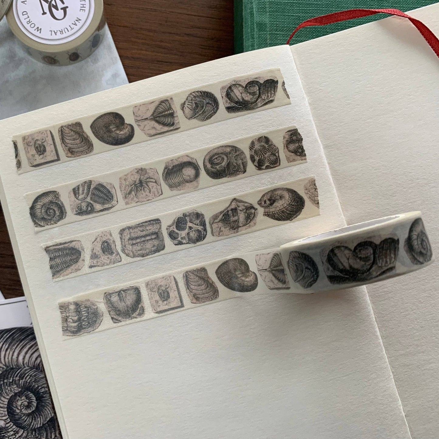 Fossil Washi Tape