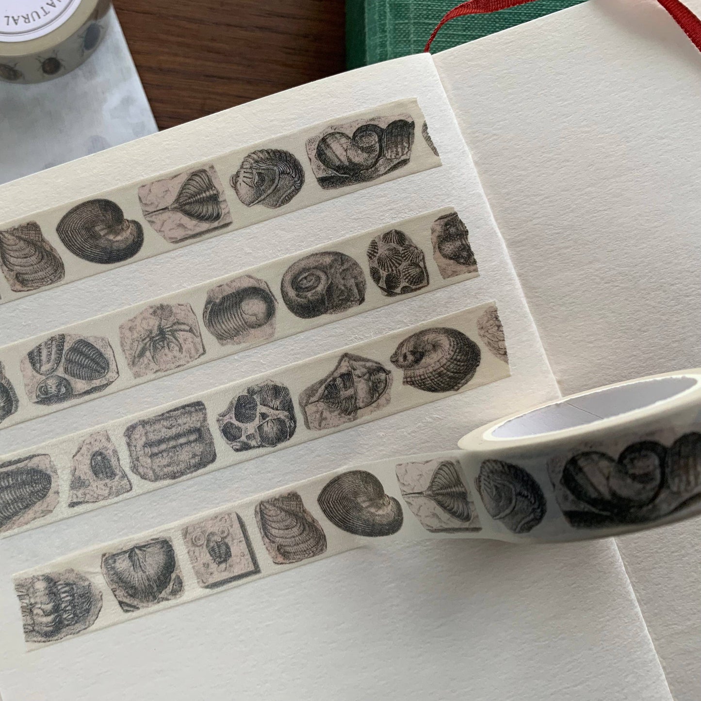 Fossil Washi Tape