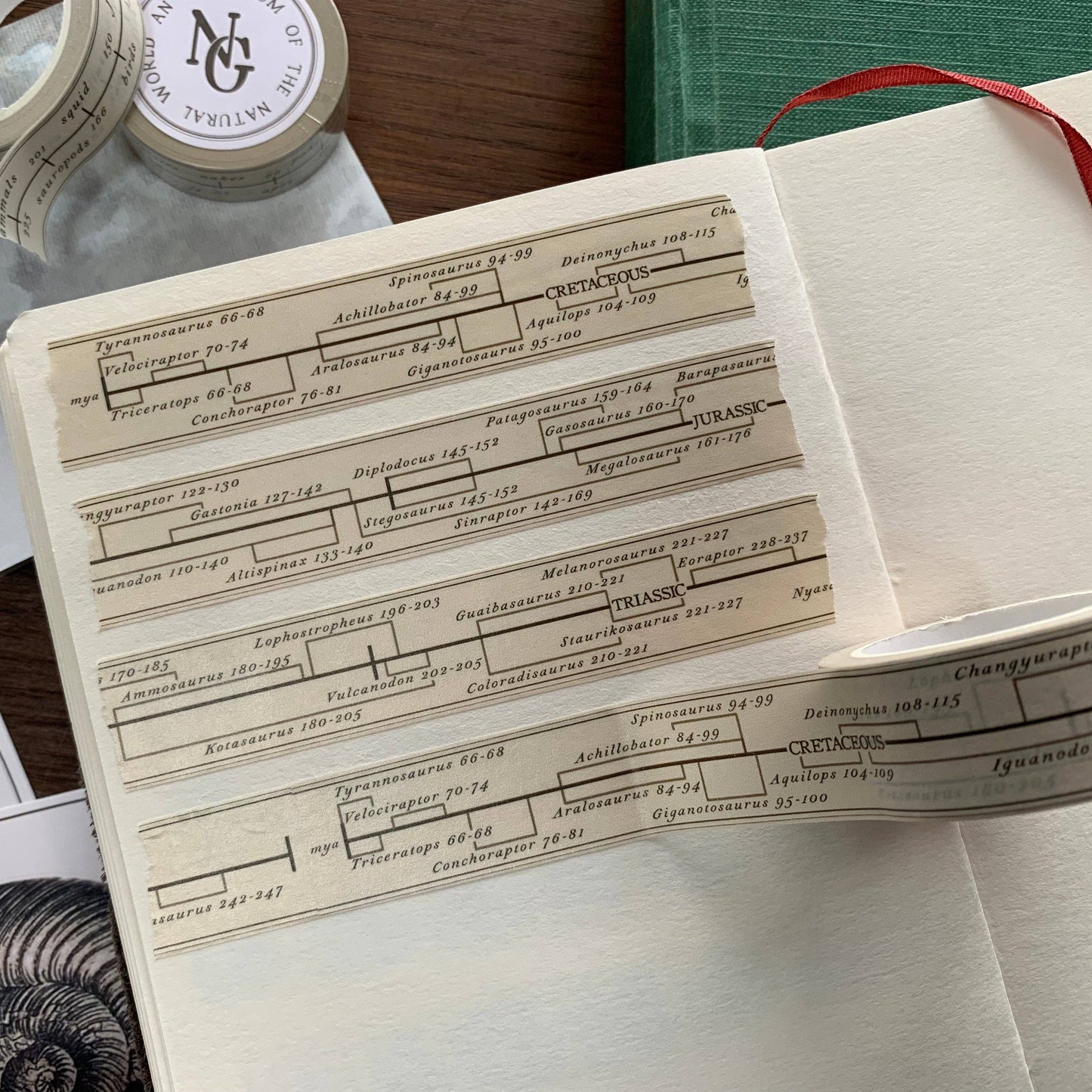 Dinosaur Timeline Washi Tape