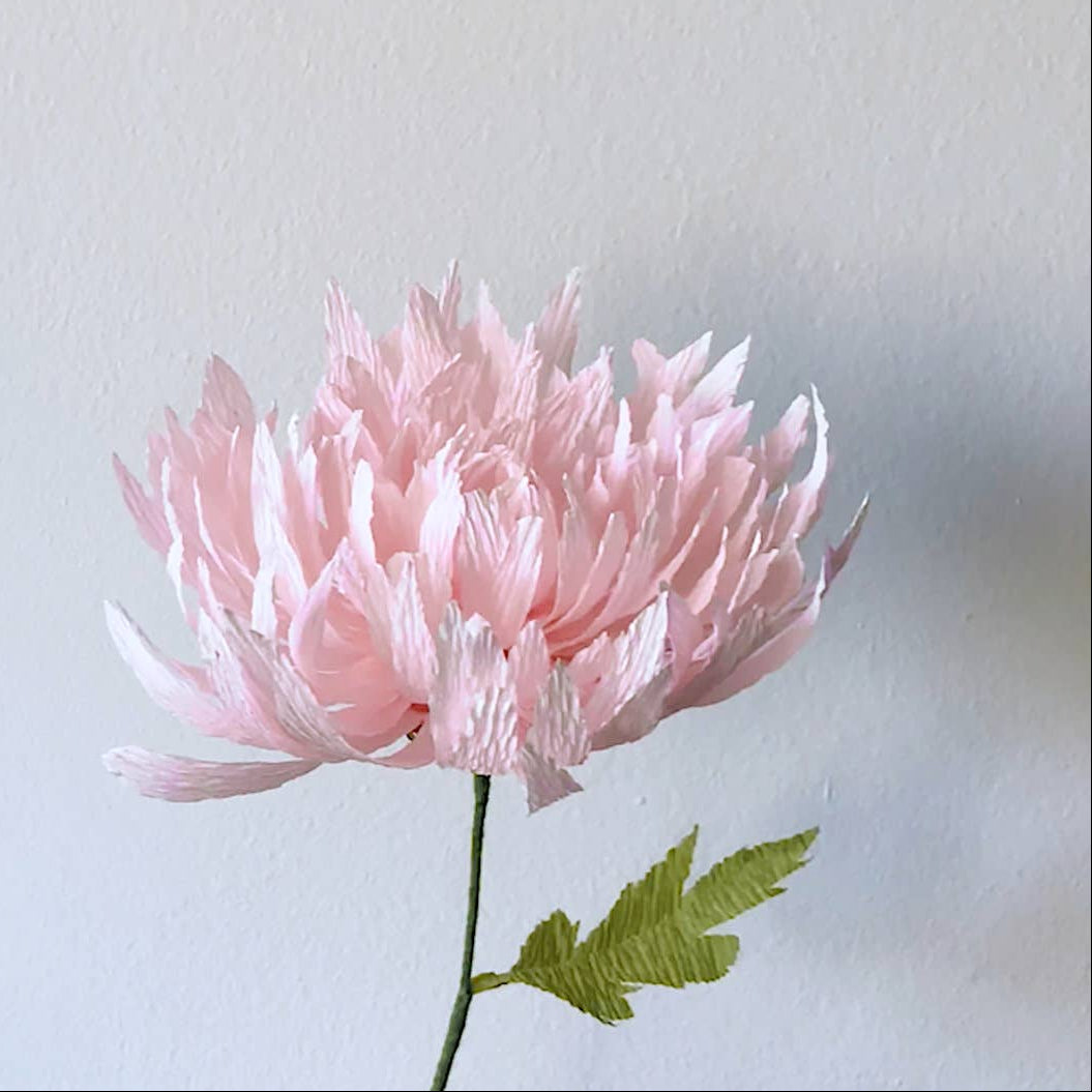Make Your Own Crepe Paper Chrysanthemum Flower