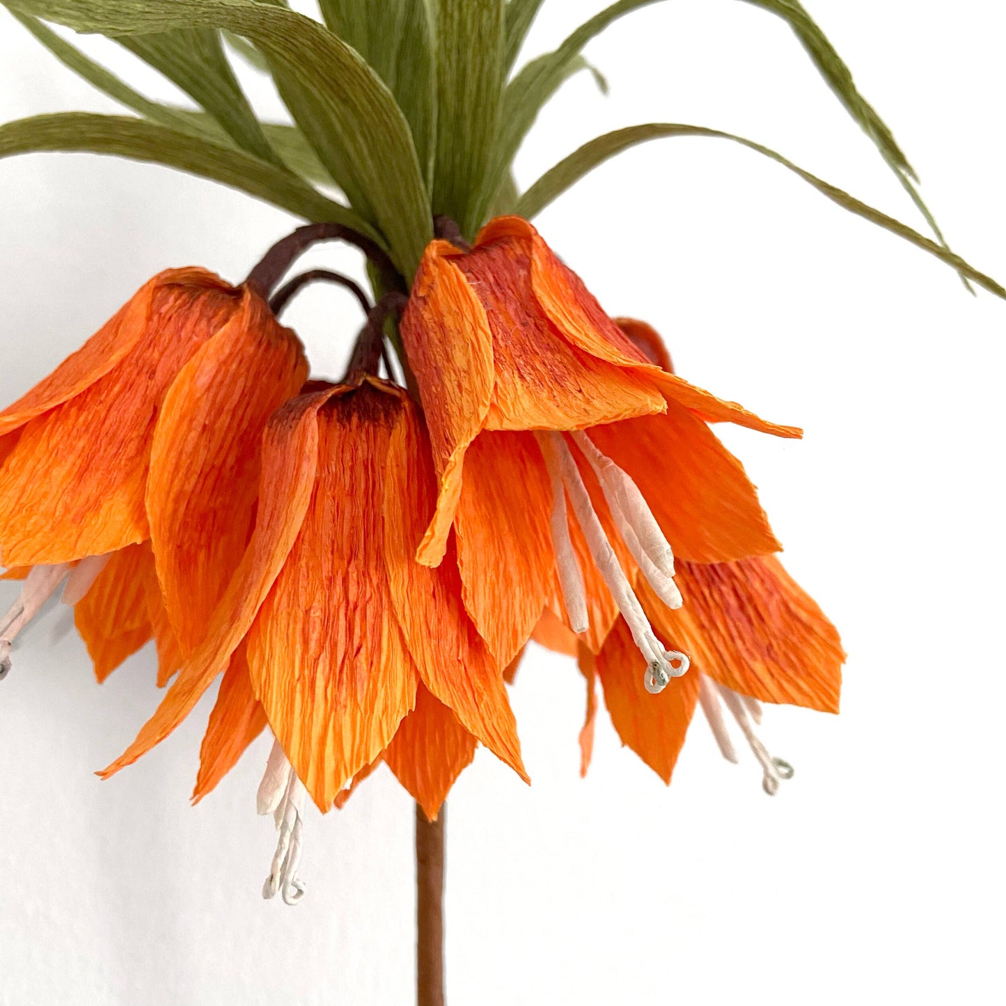 Make Your Own Crepe Paper Imperial Crown Flower Stem