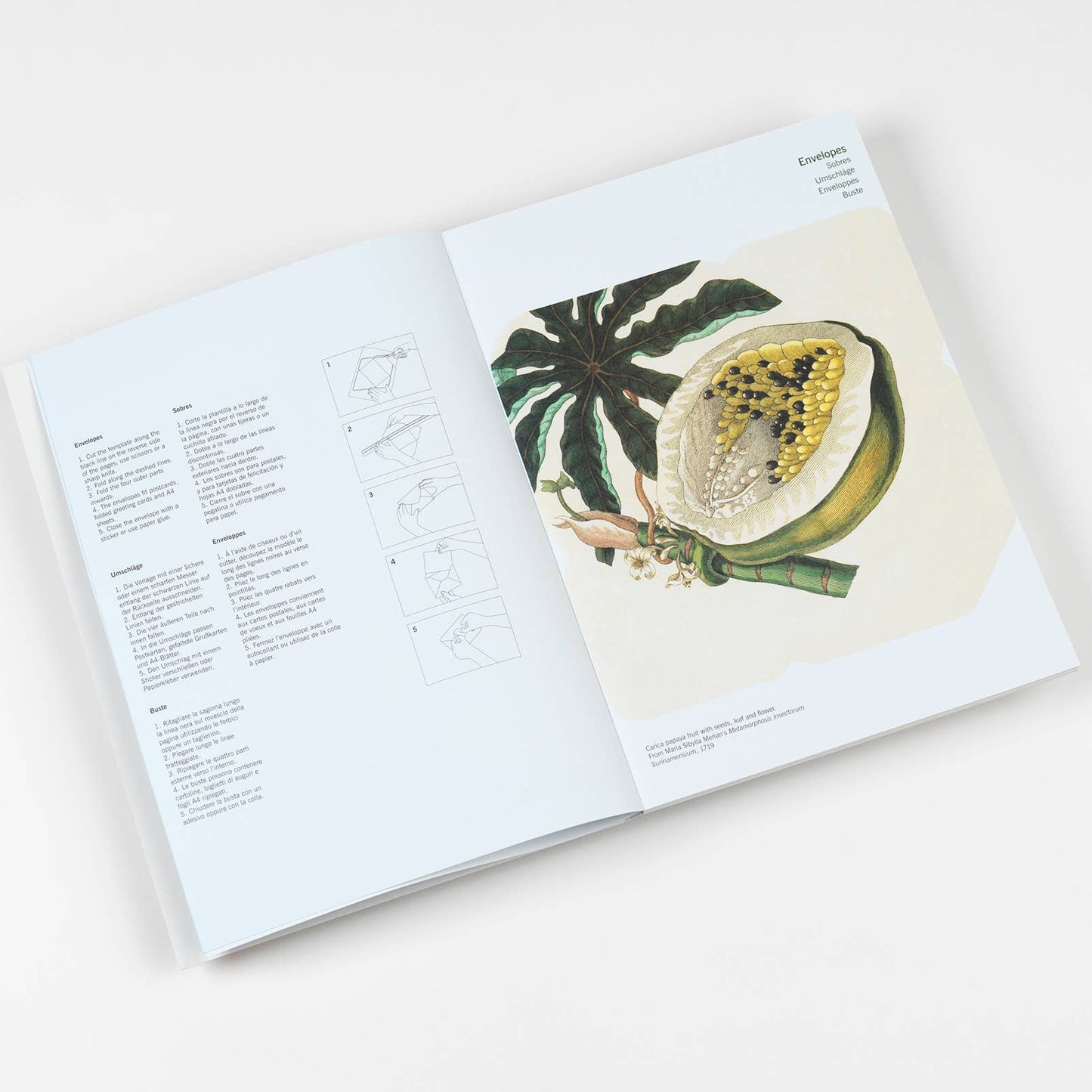 Natural History Creative Paper Book