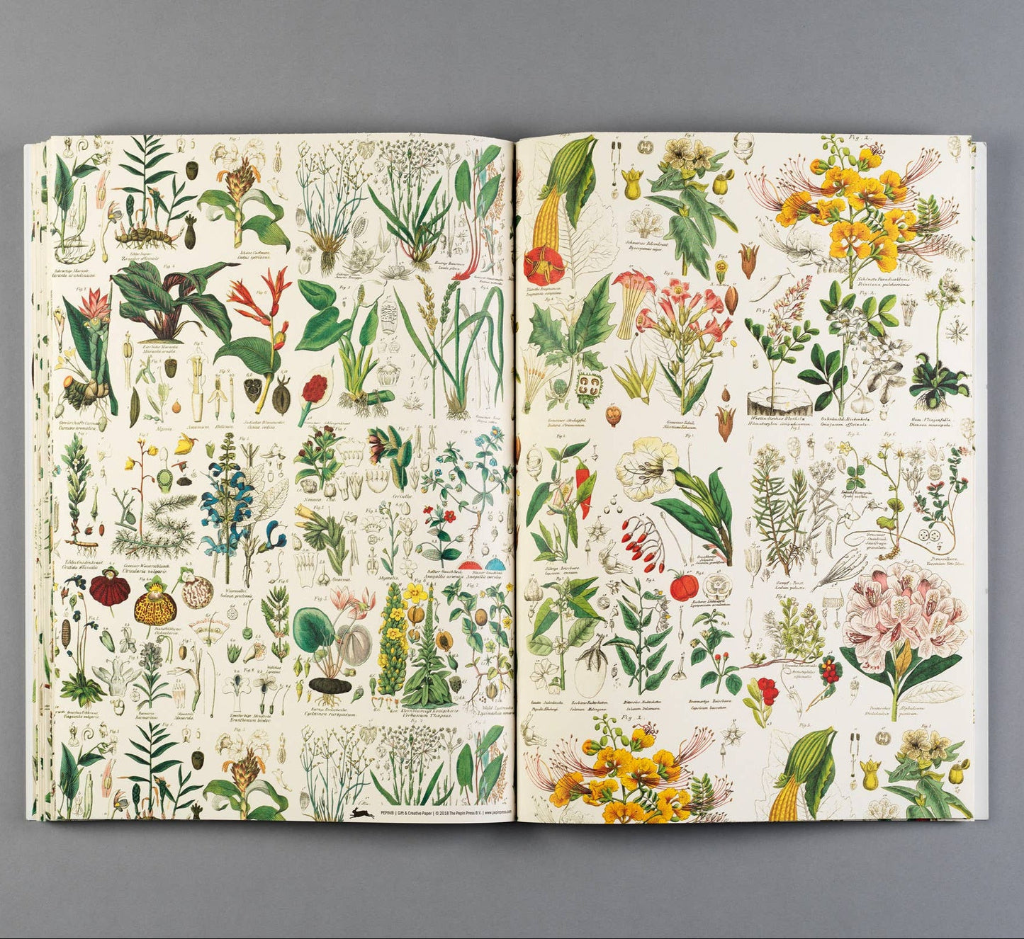 Flora Gift & Creative Paper Book Vol. 85