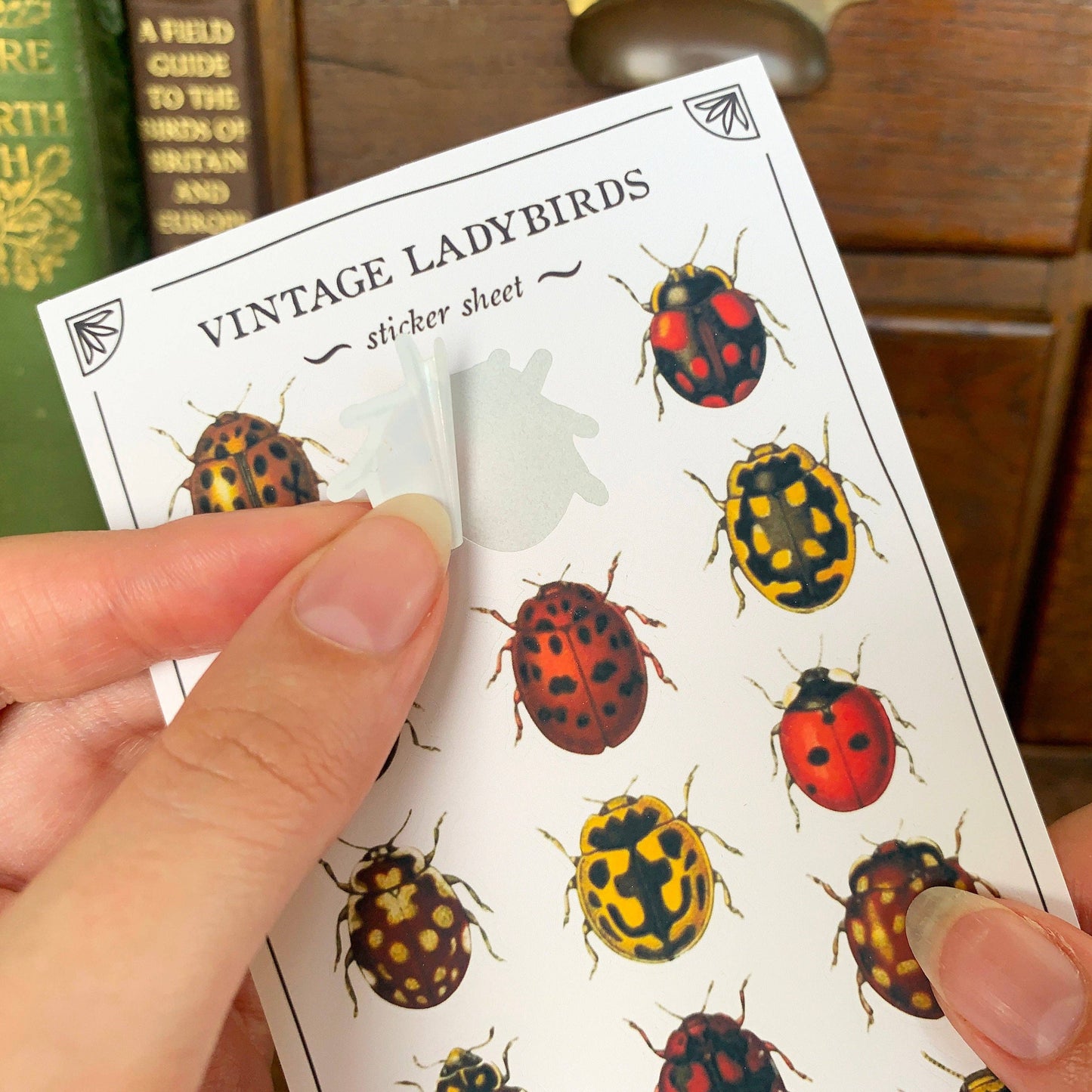 Vintage Ladybirds Sticker Sheet