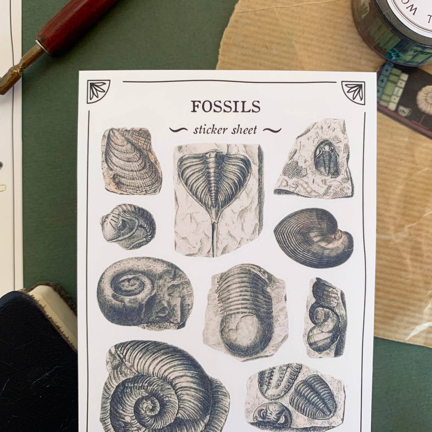 Fossils Sticker Sheet