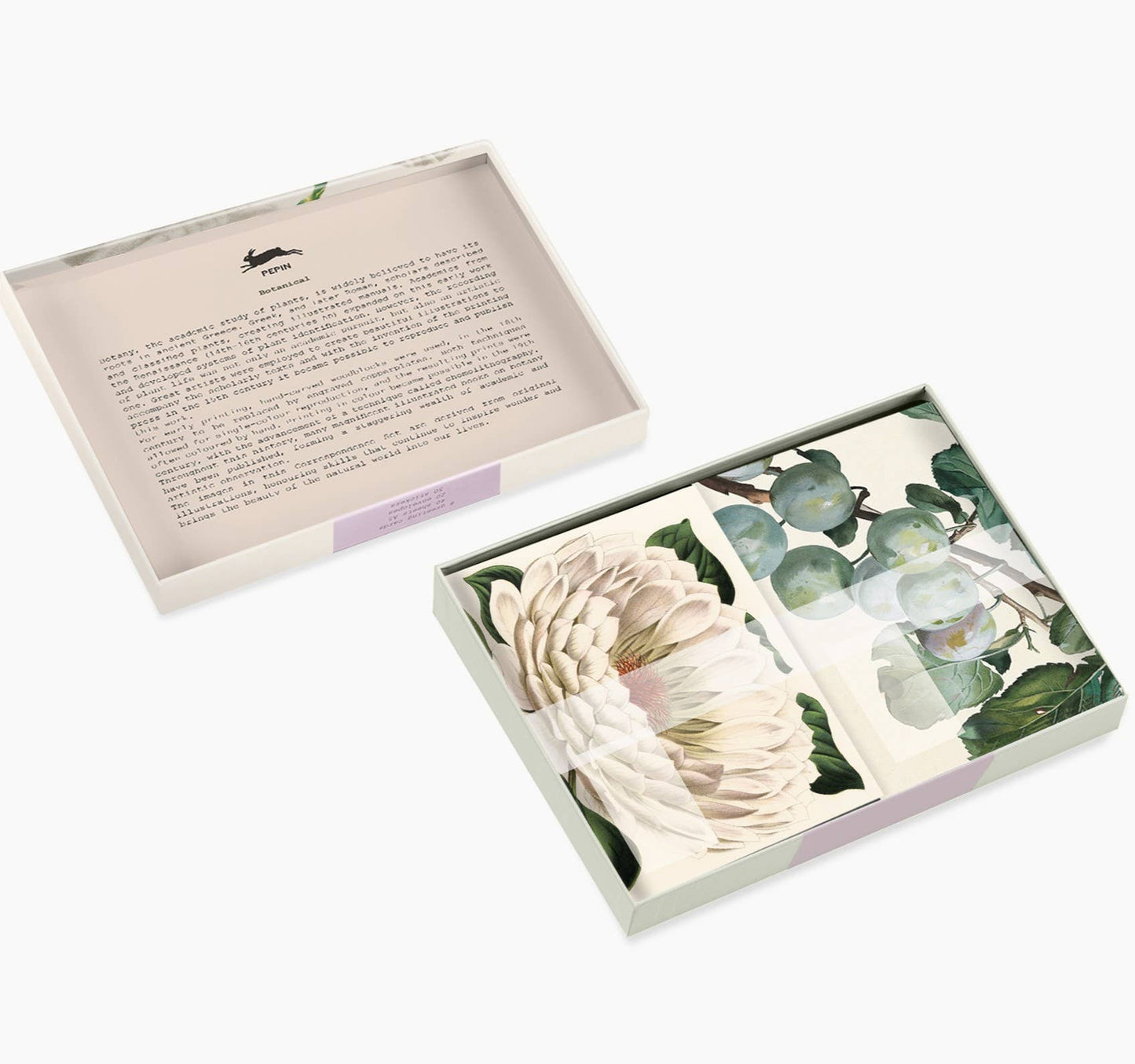 Botanical Correspondence Set