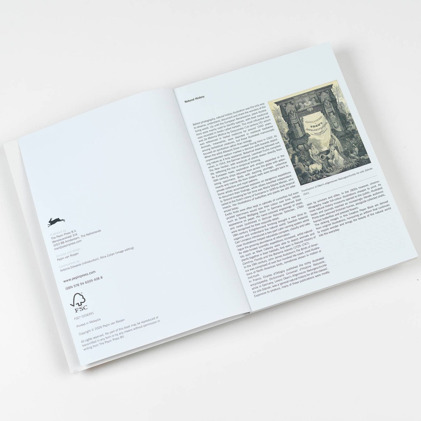 Natural History Creative Paper Book