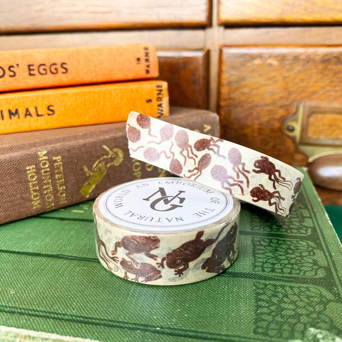 Toad Life Cycle Washi Tape