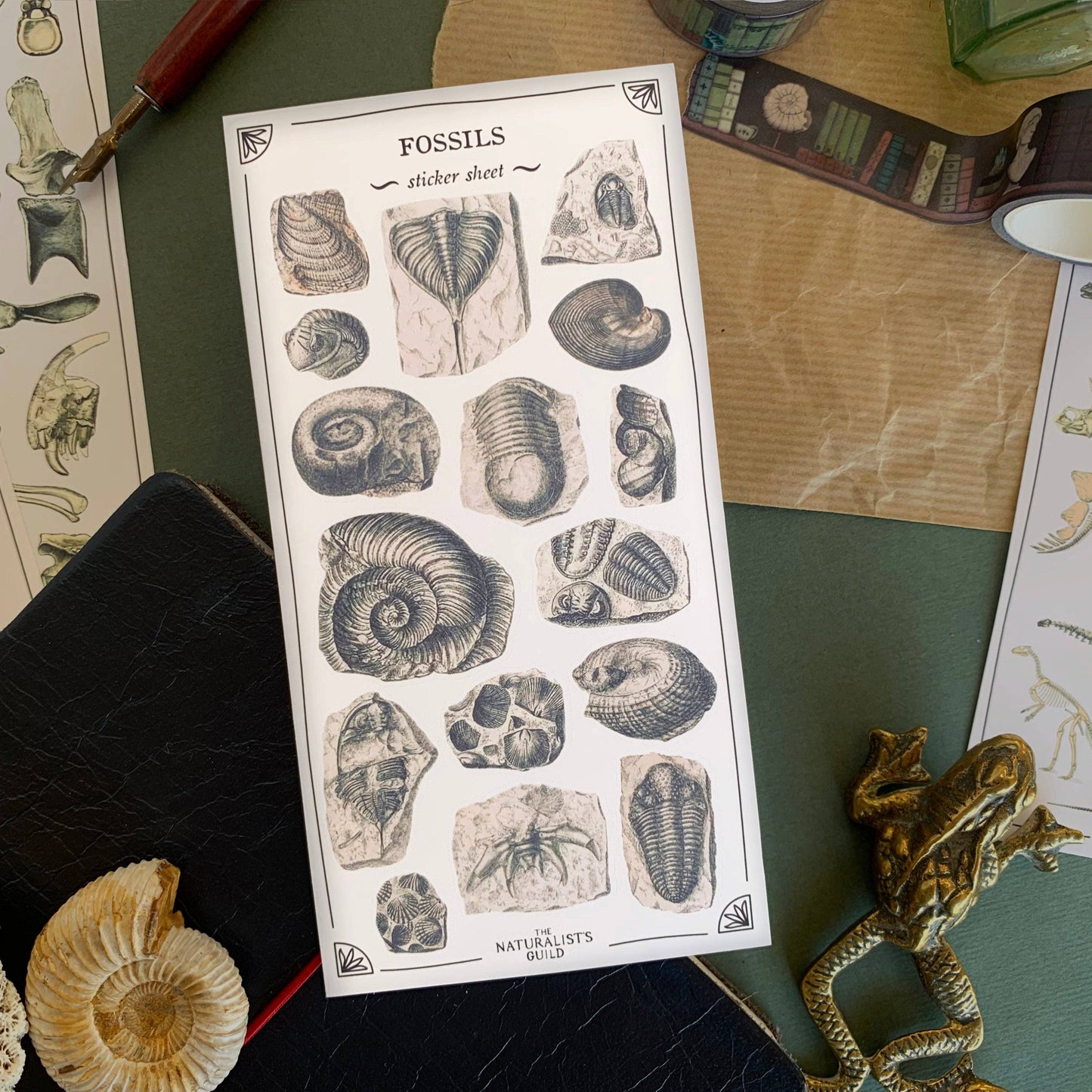 Fossils Sticker Sheet