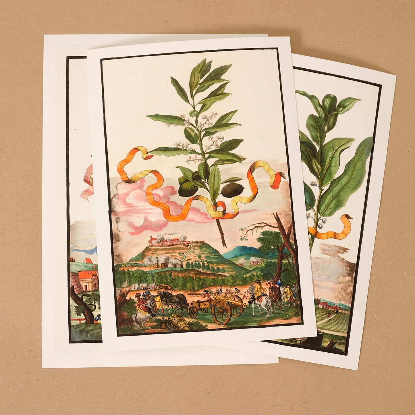 Cotyledon African Frutefcens Giclée Print