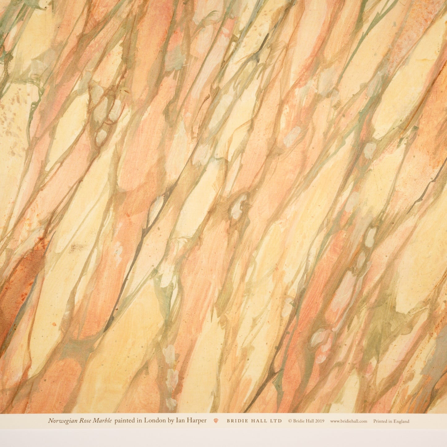 Norwegian Rose Patterned Paper